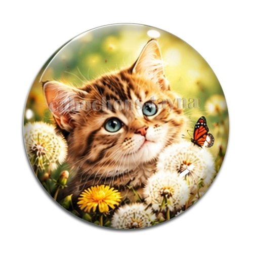 Cabochon chaton, résine ou verre rond différente taille