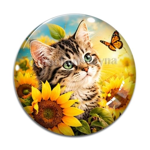 Cabochon chaton, résine ou verre rond différente taille