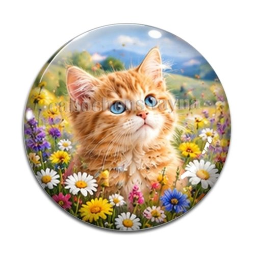 Cabochon chaton, résine ou verre rond différente taille