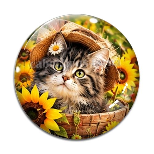 Cabochon chaton, résine ou verre rond différente taille
