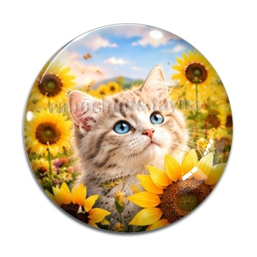 Cabochon chaton, résine ou verre rond différente taille