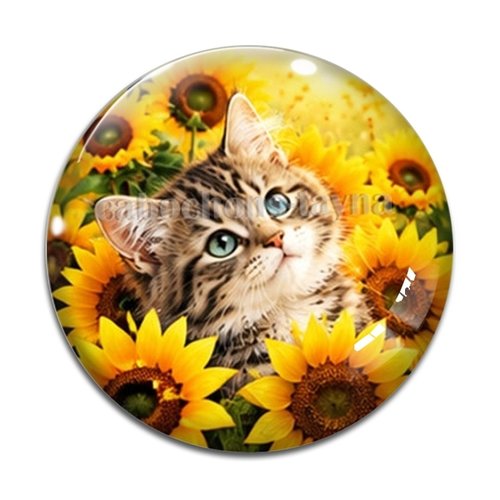 Cabochon chaton, résine ou verre rond différente taille