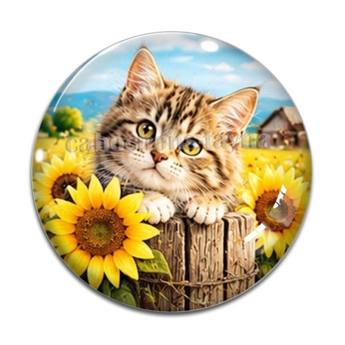 Cabochon chaton, résine ou verre rond différente taille