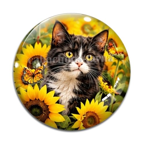 Cabochon chaton, résine ou verre rond différente taille