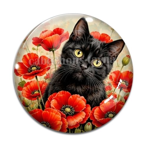 Cabochon chat coquelicot, résine ou verre rond différente taille