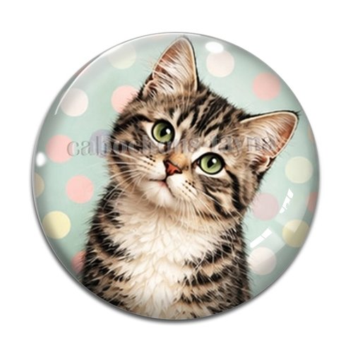 Cabochon chat pois, résine ou verre rond différente taille