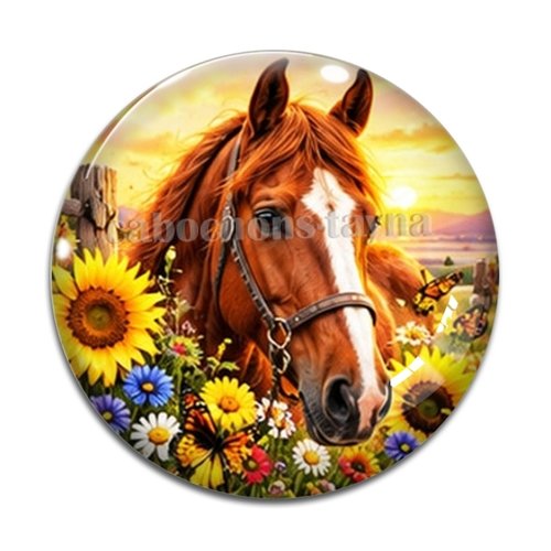 Cabochon cheval, cabochon résine ou verre rond différente taille