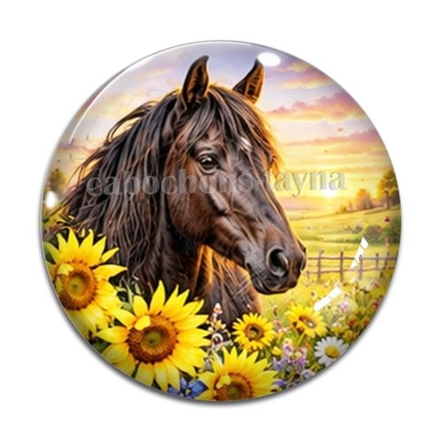Cabochon cheval, cabochon résine ou verre rond différente taille