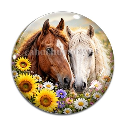 Cabochon cheval, cabochon résine ou verre rond différente taille