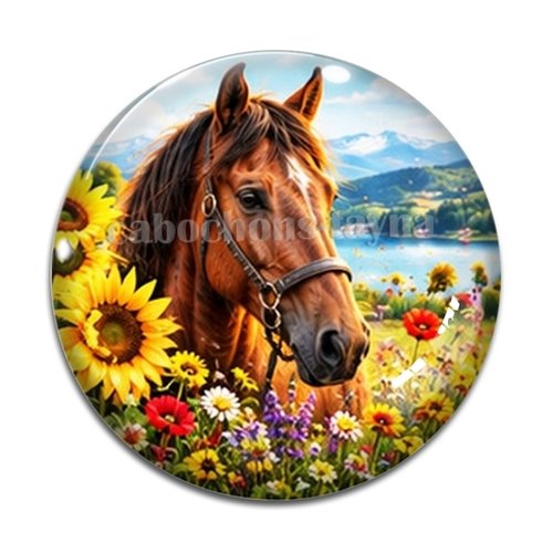 Cabochon cheval, cabochon résine ou verre rond différente taille
