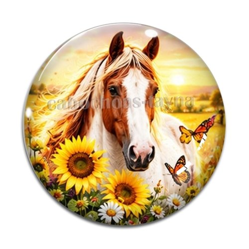 Cabochon cheval, cabochon résine ou verre rond différente taille