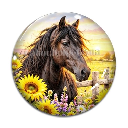 Cabochon cheval, cabochon résine ou verre rond différente taille