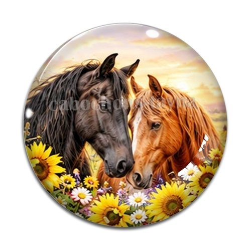 Cabochon cheval, cabochon résine ou verre rond différente taille
