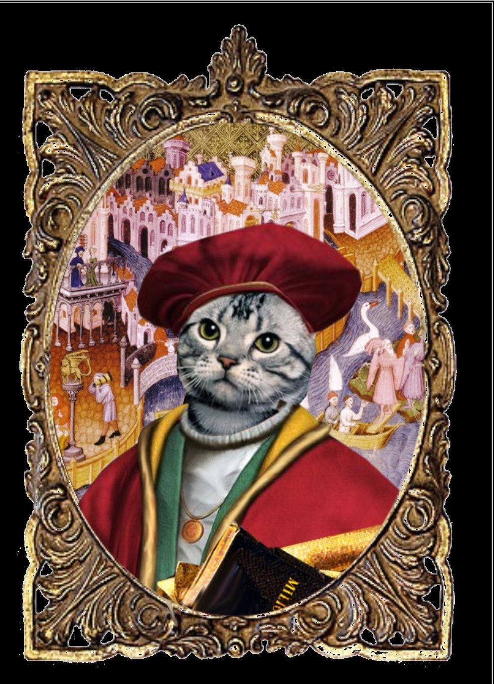 marcopolo chat marcopolo chat