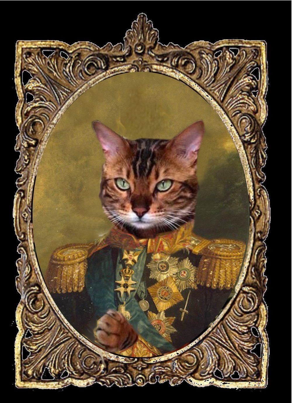 Portrait De Chat Personnalisable Le Petit General Russe Un Grand Marche