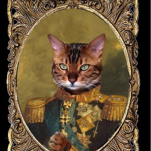 Portrait De Chat Personnalisable Le Petit General Russe Un Grand Marche