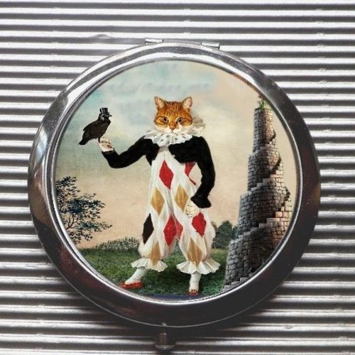 Grand Miroir De Poche Avec Chat Arlequin Un Grand Marche