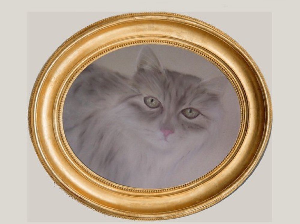 Portrait De Chat Persan Au Pastel Sec Timide Un Grand Marche