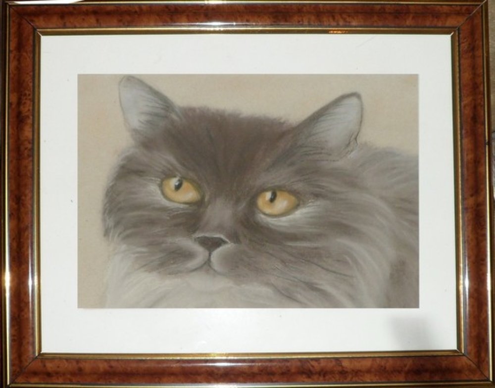 Portrait De Chat Persan Au Pastel Sec Un Grand Marche