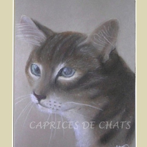 Reproduction De Mon Dessin Au Pastel Sur Papier Canson Chat Pensif