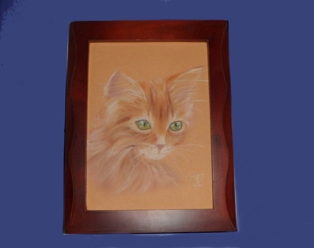 Petit Portrait De Chaton Roux Au Pastel Sec Un Grand Marche Petit Portrait De Chaton Roux Au Pastel Sec Un Grand Marche