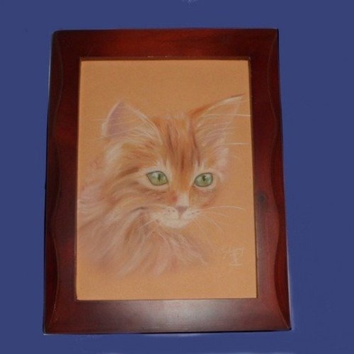 Petit Portrait De Chaton Roux Au Pastel Sec Un Grand Marche