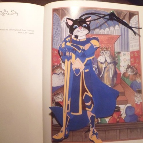 Marque Page Avec Chat Et En Forme De Chat Mon Petit Chevalier Medieval Un Grand Marche