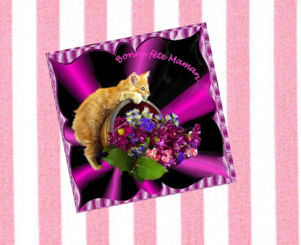 Carte Avec Chat Fete Des Meres Carree Et Double Chaton Roux Et Bouquet De Fleurs Un Grand Marche