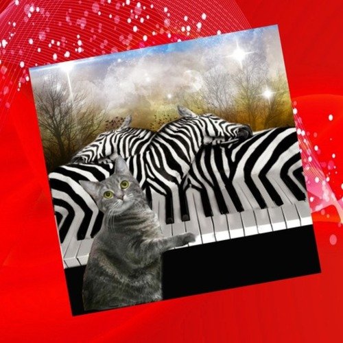 Carte Double Avec Chats Un Brin Surrealiste Mon Beau Piano Zebre Un Grand Marche