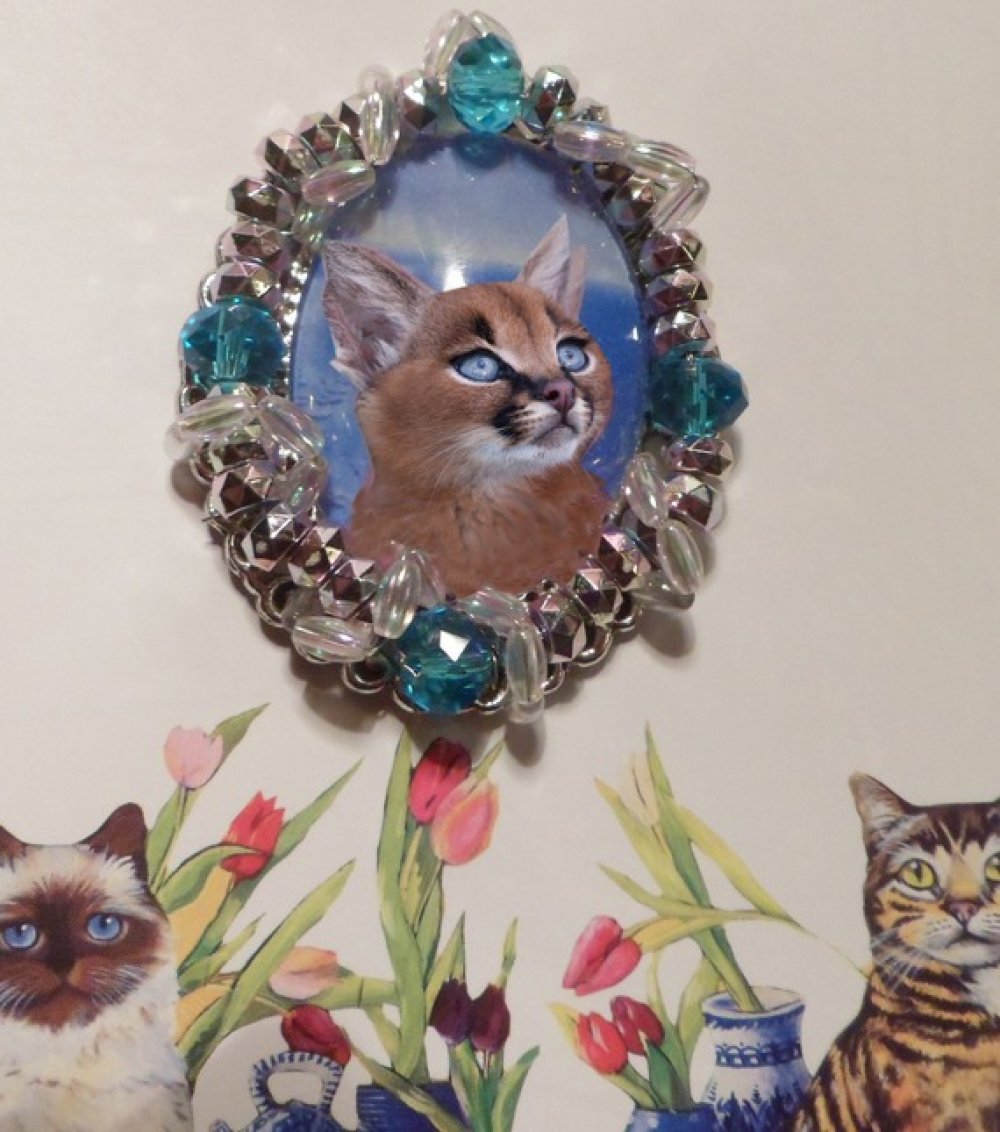 Grande Broche Baroque Ou Medaillon Avec Chat Bebe Caracal Un Grand Marche