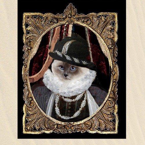 Portrait De Chat Personnalisable Chat Costume En Roi De France Charles Ix Un Grand Marche