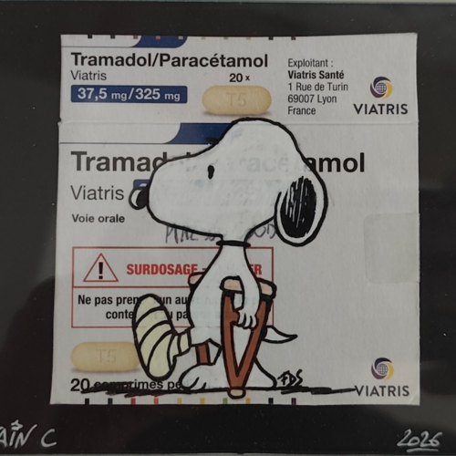 Peinture originale snoopy fait main sur boîte de médicament – idée cadeau pharmacien / médecin / maladroit