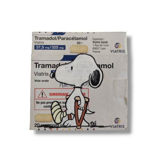 Peinture originale snoopy fait main sur boîte de médicament – idée cadeau pharmacien / médecin / maladroit