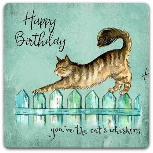 Carte Double Faite Main Joyeux Anniversaire Chat Cat 15cm X 15 Cm Avec Enveloppe Card Bubble Un Grand Marche