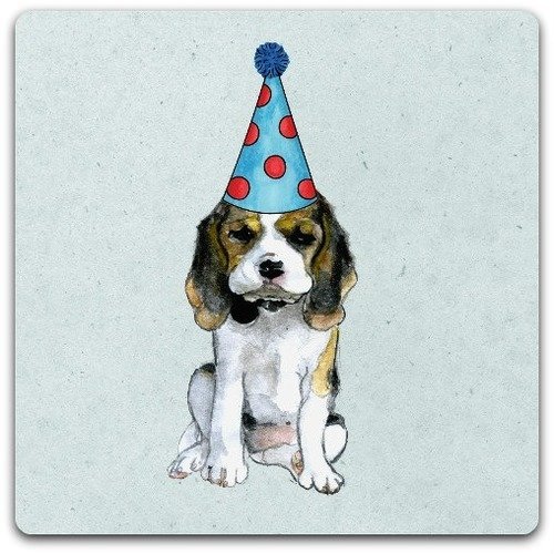 Carte De Vœux Le Chien Ronchon Carte Anniversaire Avec Enveloppe 15cm X 15cm Un Grand Marche