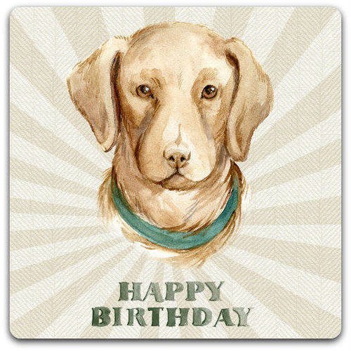 Carte Anniversaire Double Dog Faite A La Main 15cm X 15cm Un Grand Marche