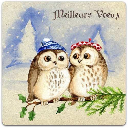 Carte Double Meilleurs Voeux Hibou Creation Originale 15cm X 15cm Avec Enveloppe Un Grand Marche