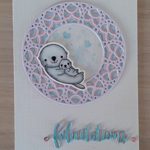 Carte Naissance Loutres Un Grand Marche