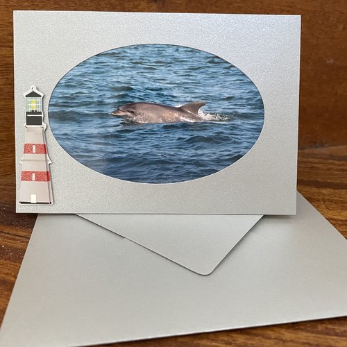 Carte photo : un dauphin