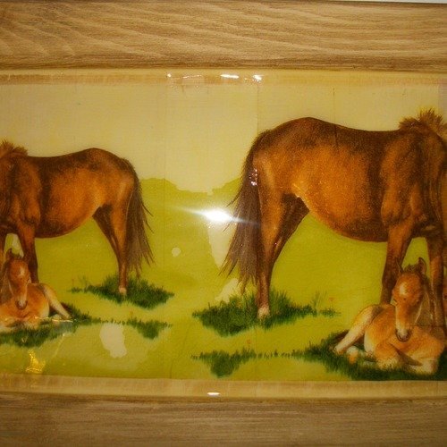 Cadre motif "famille chevaux" 40 x 25 cm