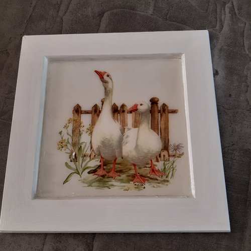 Cadre les oies