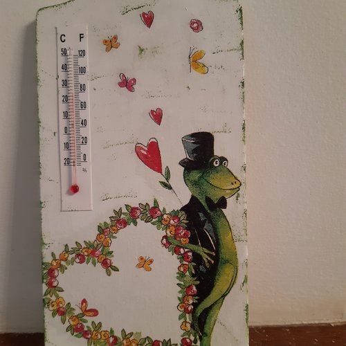 Thermomètre intérieur, grenouille