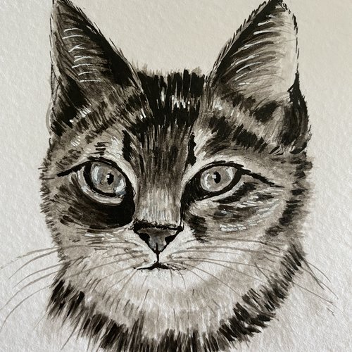 Portrait de chat