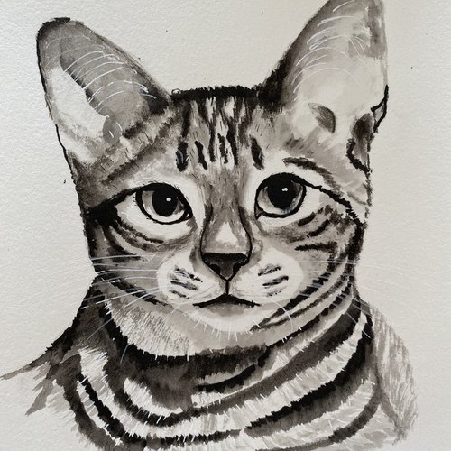 Chat
