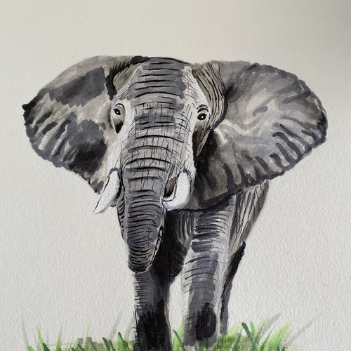 Éléphant