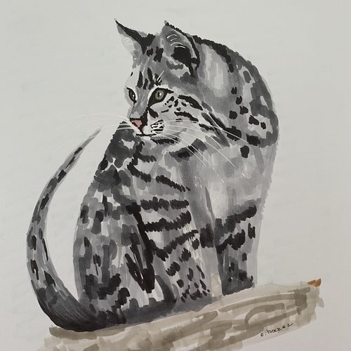 Chat