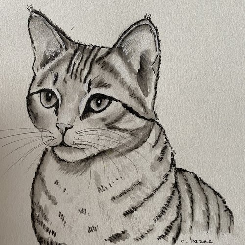 Portrait de chat