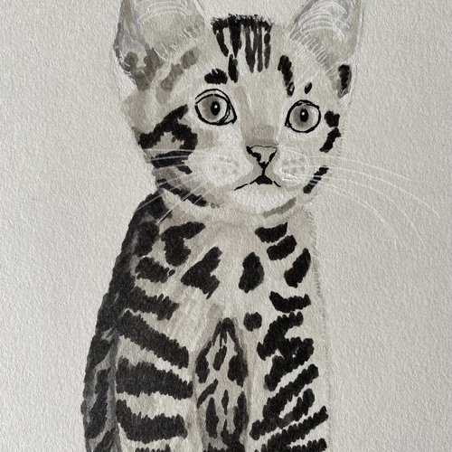 Chaton