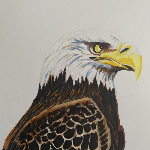Aigle