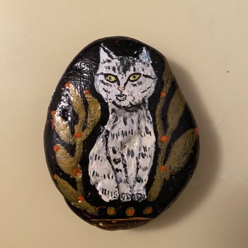 Chat sur galet